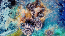 IMG_4611-optimize_r1vemcl5_1